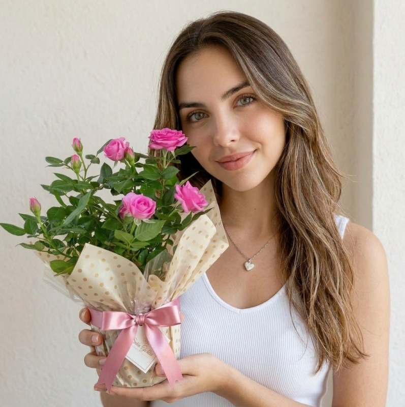 Minyatür Gül